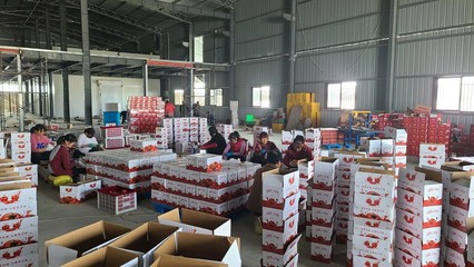 農(nóng)產(chǎn)品與電商深度融合 賦能鄉(xiāng)村振興——陜能院學(xué)子調(diào)研云陽(yáng)站電商扶貧基地